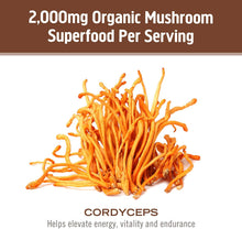 Load image into Gallery viewer, Om Mushroom Superfood Cordyceps Powder &amp; Capsules
